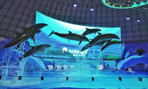 福州欧乐堡海洋世界