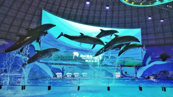 4_永泰歐樂堡海洋世界