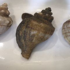HONGXING PINGTAN SEAFOOD User Photo
