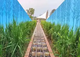 Squirrel Kaka Exploration Park