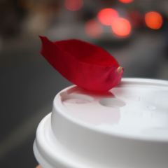 HINICHIJOU User Photo