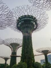 OCBC Skyway