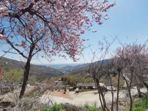 화구워산(화과산)