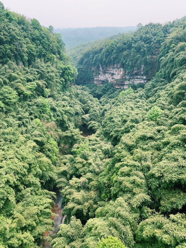 Bamboo Canyon Scenic Area (Jinji Valley)