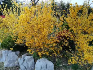 Weihai Huaxia City Scenic Area