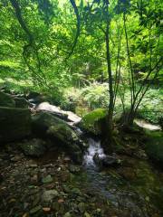 Chaxi Valley, Source of Qujiang River