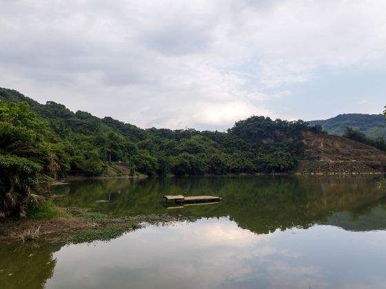 Lotus Lake