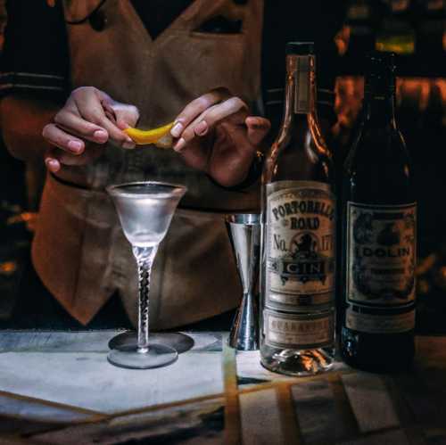 MARTINI SALON gin cocktail