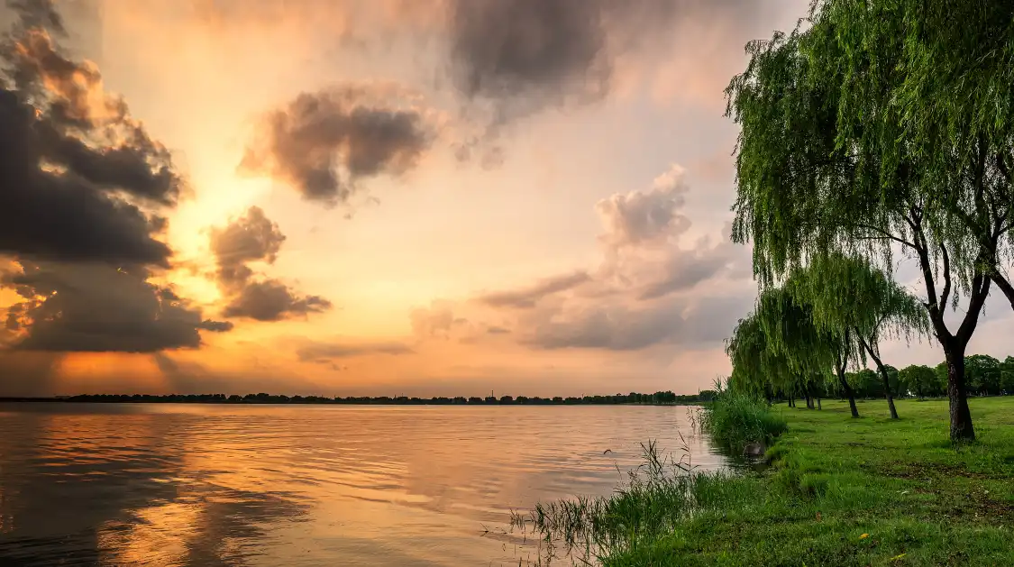 Hotels near Caohu Wetland Park
