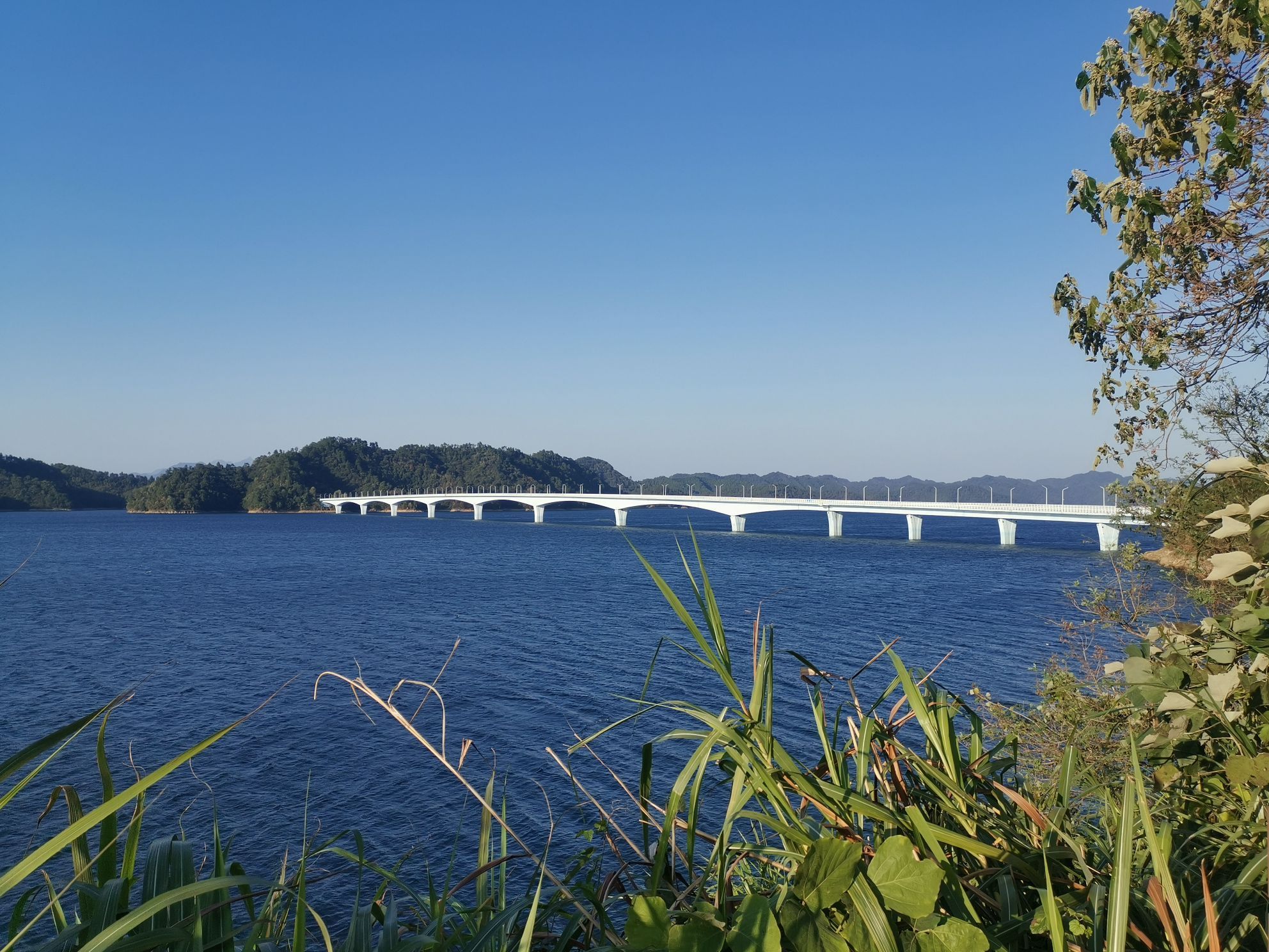 上江埠大橋景點評價 上江埠大橋門票 上江埠大橋優惠 上江埠大橋交通 地址 開放時間 上江埠大橋附近景點 酒店及美食 Trip Com