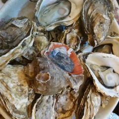 荔园饺子城 User Photo