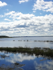 Lake Burtnieks