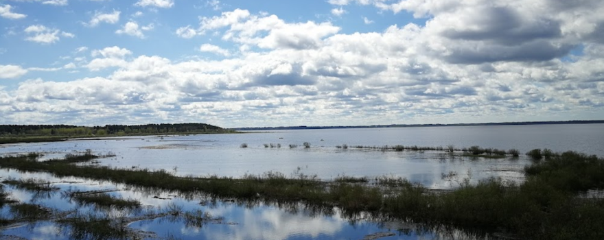 Lake Burtnieks
