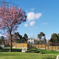YUNHEYI MANOR 여행 사진
