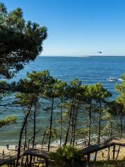 Bassin d'Arcachon