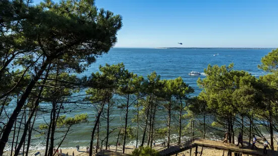 Arcachon Bay