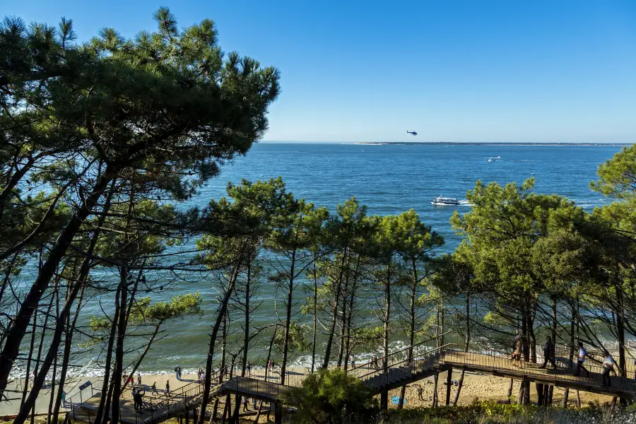 Arcachon Bay