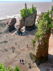 Hopewell Rocks Provincial Park