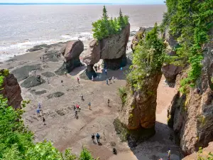 Hopewell Rocks Provincial Park