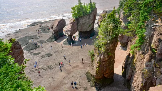 Hopewell Rocks Provincial Park