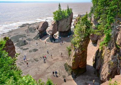 Hopewell Rocks Provincial Park