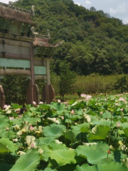 Shengzhou Shibadujiang Scenic Area