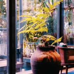 SIYA CUISINE User Photo