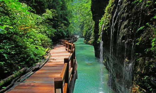 Black Valley