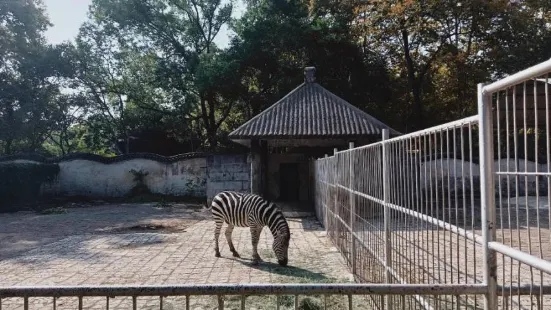 安慶動物園