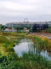 Xixia Modern Agricultural Park