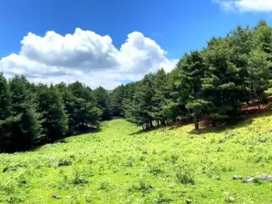 Niaodiao Mountain