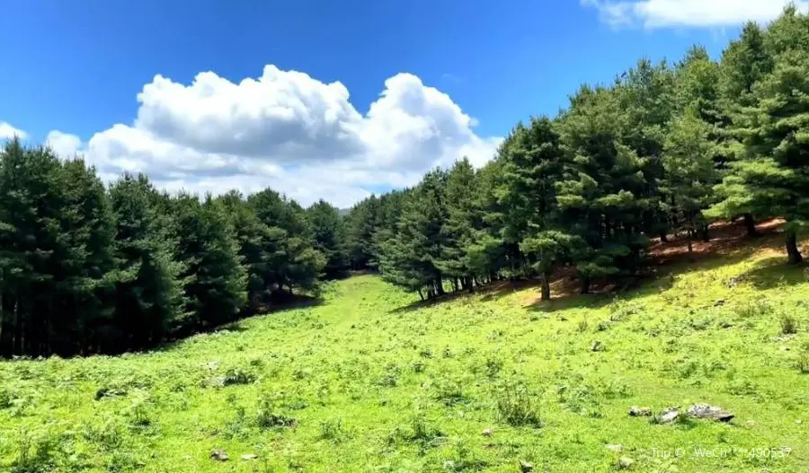 Niaodiao Mountain