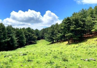 Niaodiao Mountain