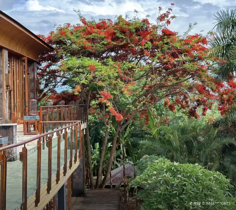Hotels near Jingmai Mountain Bolian Pu'er Tea Estate