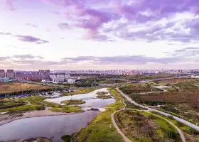 Wetland Park