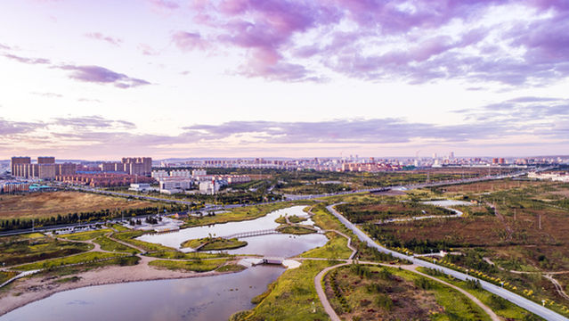 Wetland Park