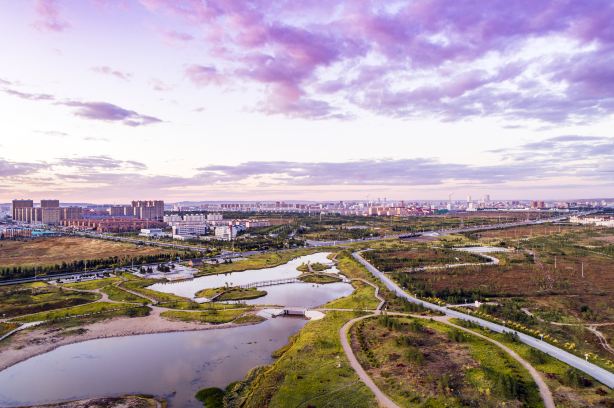 Wetland Park
