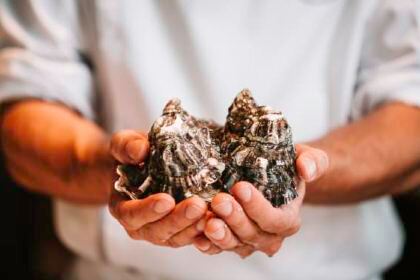 Neue Hoheit Brasserie