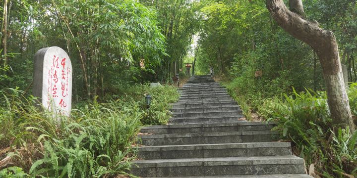 万竹園