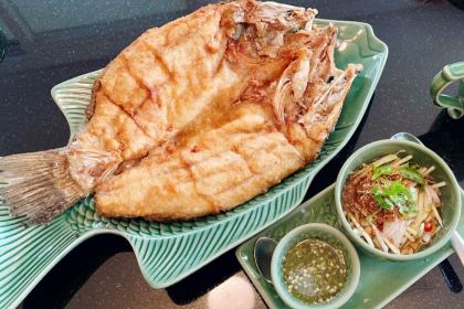 Saiyut & Doctor Sai kitchen