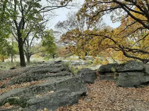 Sea of Stones, Szentbékkálla