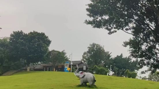 Jingruiyiyun Park