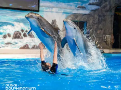 Dubai Dolphinarium