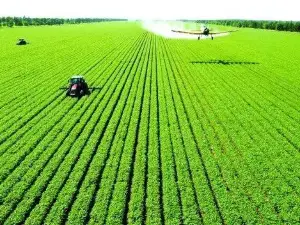 Nenjiang Farm
