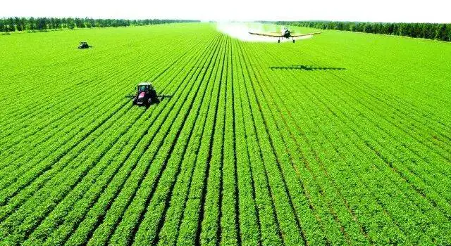 Nenjiang Farm