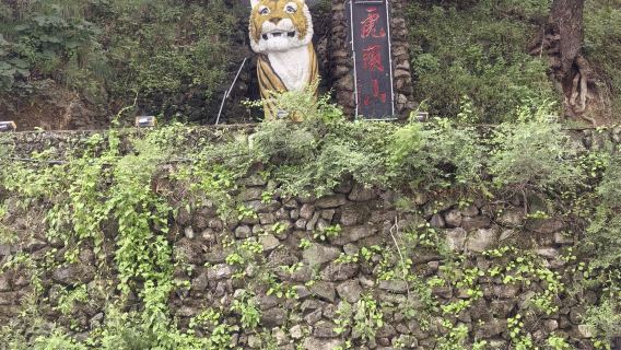 Tiger Head Mountain