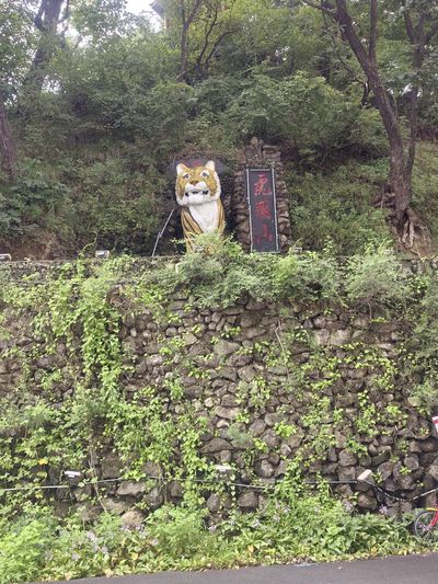 Tiger Head Mountain