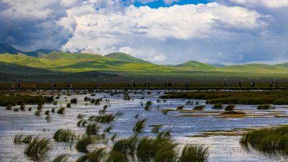 Huahu Wetland