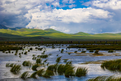 Huahu Wetland