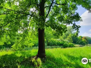 Park Szczesliwcki